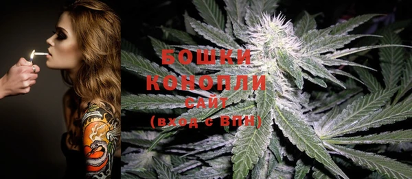 соль ск Дмитров