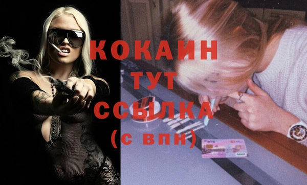 соль ск Дмитров