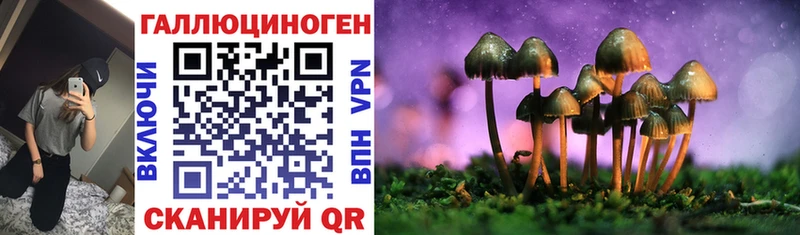 Галлюциногенные грибы Magic Shrooms наркота Рузаевка