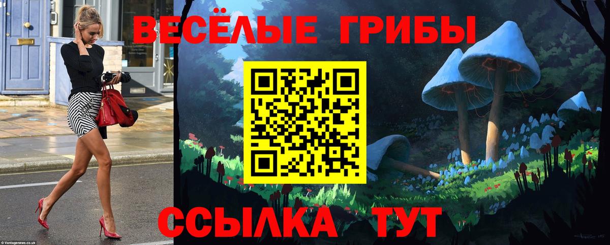 Псилоцибиновые грибы Psilocybine cubensis Рузаевка