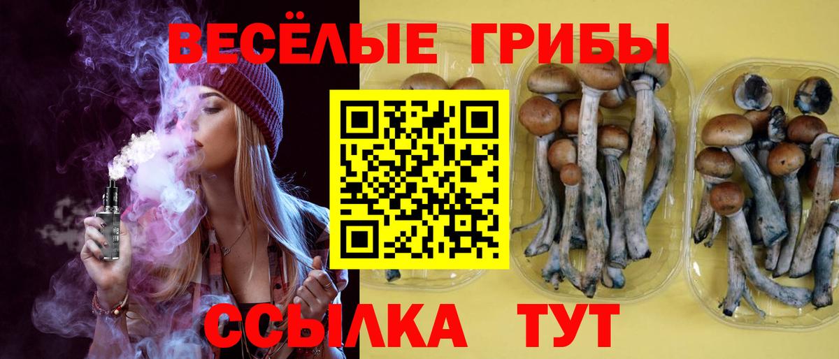 Галлюциногенные грибы ЛСД  Вход с VPN  купить наркотик  Рузаевка 